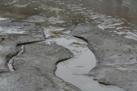 фото: Global Look Press