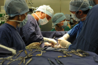 фото: Global Look Press