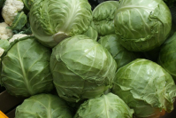 фото: Global Look Press