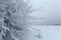 фото: Global Look Press