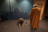 фото: Global Look Press