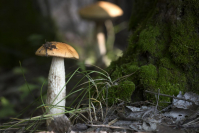 фото: Global Look Press