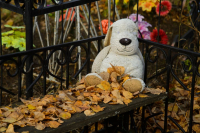 фото: Global Look Press