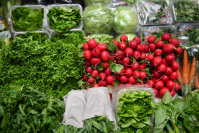 фото: Global Look Press