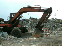 фото: Global Look Press