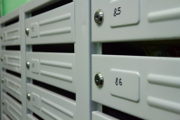 фото: Global Look Press