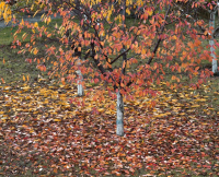 фото: Global Look Press