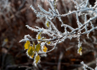 фото: Global Look Press