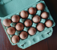 фото: Global Look Press