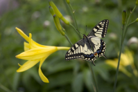 фото: Global Look Press