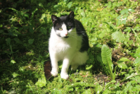 фото: Global Look Press