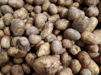 фото: Global Look Press