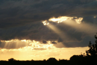 фото: Global Look Press