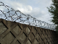 фото: Global Look Press