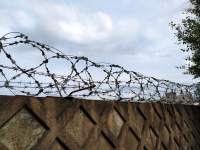 фото: Global Look Press