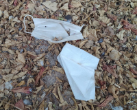 фото: Global Look Press