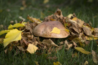 фото: Global Look Press