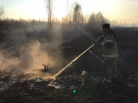 фото: Global Look Press