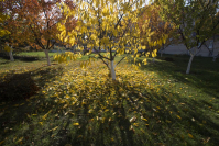 фото: Global Look Press