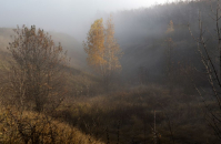 фото: Global Look Press