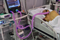 фото: Global Look Press