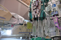 фото: Global Look Press