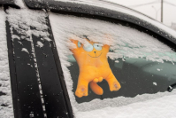 фото: Global Look Press