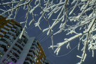 фото: Global Look Press