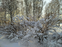 фото: Global Look Press