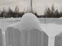 фото: Global Look Press