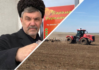фото: Андрей Прошаков/ пресс-служба Администрации Волгоградской областной думы
