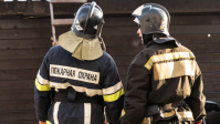ФОТО: Интернет-газета "Кривое-зеркало"