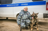 ФОТО: Интернет-газета "Кривое-зеркало"