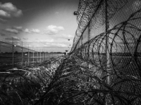 фото: Pixabay 