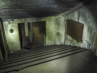 фото: Pixabay