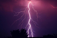 фото: Pixabay