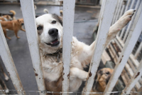 фото: Global Look Press