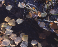 фото: Global Look Press