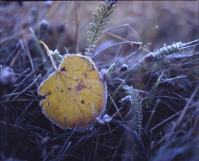 фото: Global Look Press