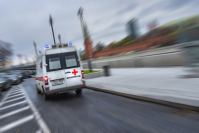 фото: Global Look Press