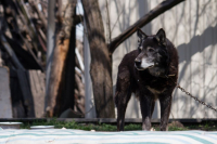 фото: Global Look Press