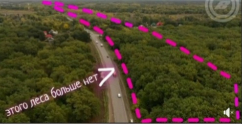 фото: скриншот видео. Михаил Соломонов