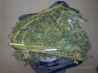 фото: пресс-служба ГУ МВД по Волгоградской области