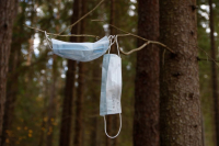 фото: Global Look Press