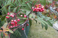 фото: Global Look Press