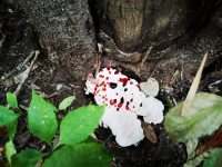 фото: Комитет природных ресурсов, лесного хозяйства и экологии Волгоградской области