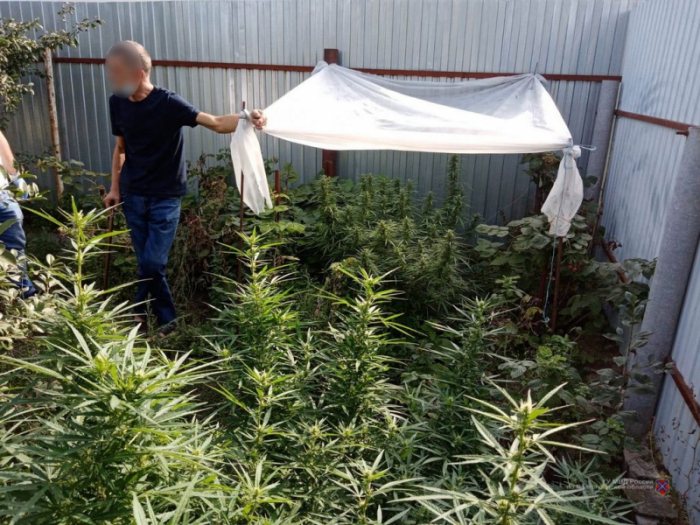 фото: пресс-служба ГУ МВД по Волгоградской области