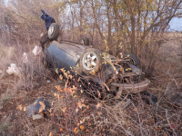 фото: пресс-служба ГУ МВД по Волгоградской области