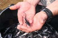 фото: пресс-служба Администрации Волгоградской области