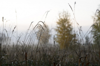 фото: Global Look Press